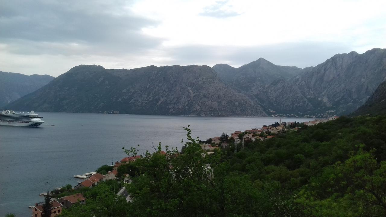 Apartment Biser Kotor Dış mekan fotoğraf
