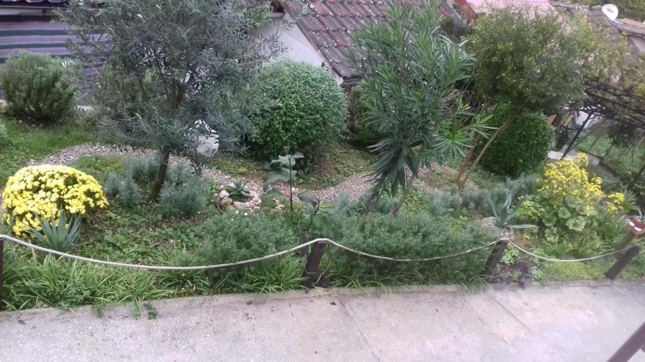 Apartment Biser Kotor Dış mekan fotoğraf
